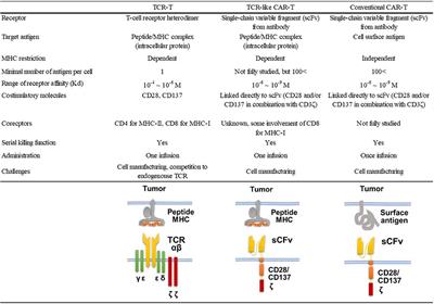TCR-Like CAR-T Cells Targeting MHC-Bound Minor <mark class="highlighted">Histocompatibility Antigens</mark>
